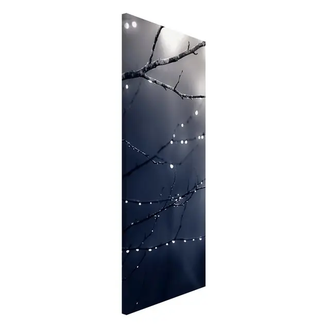 Lichttropfen am Birkenzweig Magnettafel Günstig