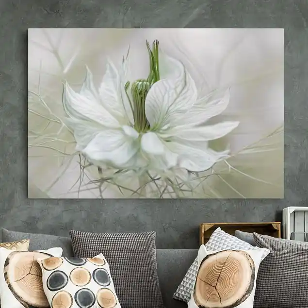 Weiße Nigella Leinwandbild • hergestellt in Deutschland • langlebiges Canvas mit Holzkeilrahmen • klassische Struktur • 260 g/m² Sichere Zahlung