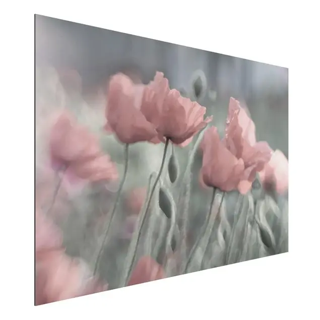 Malerische Mohnblumen Alu-Dibond Outdoor Bild Aktuell