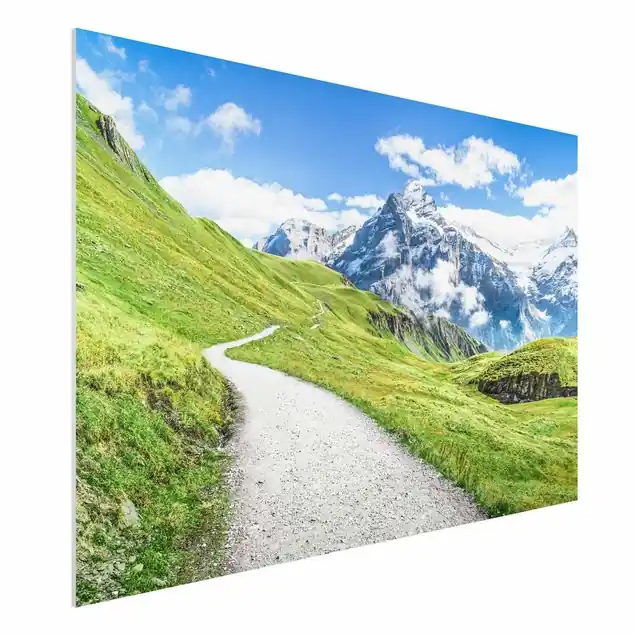 Online Kaufen Grindelwald Panorama Forexbild