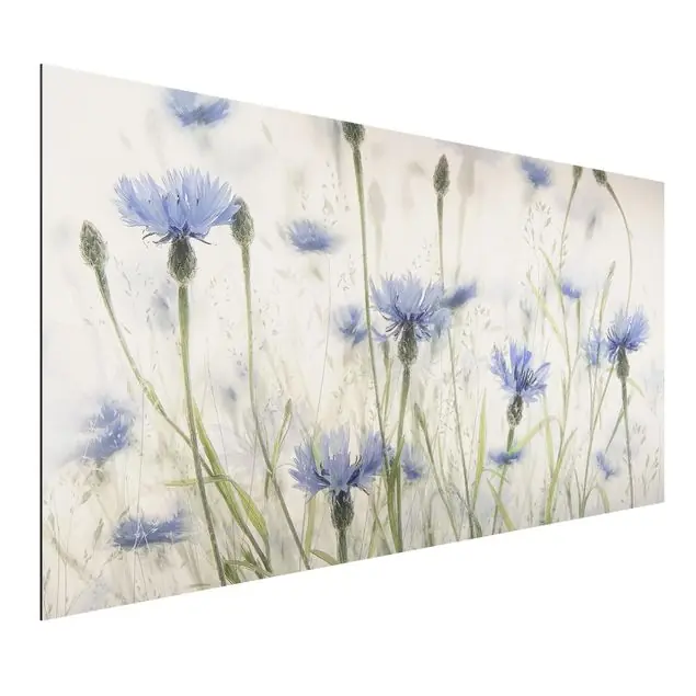 Kornblumen und Gräser im Feld Alu-Dibond Outdoor Bild Sonderangebot