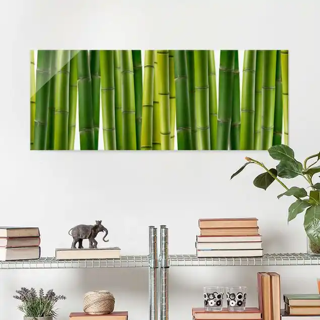 Markenprodukt Bambuspflanzen Glasbild - Panorama