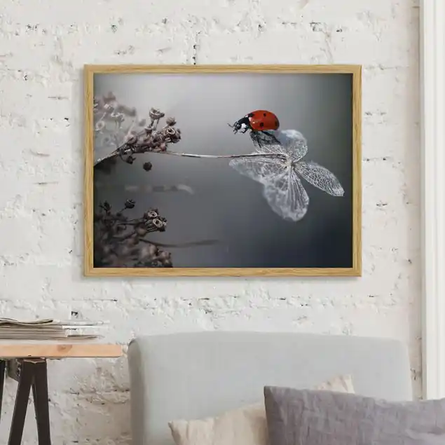 Kracherpreis Marienkäfer auf Hortensie Bild mit Rahmen in Manufakturqualität • Eiche naturbelassen • inkl. Rahmung von Hand • Made in Germany
