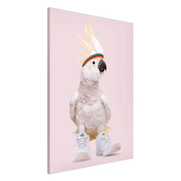 Begrenztes Angebot Kakadu mit Schuhen Magnettafel - Hochformat 2:3