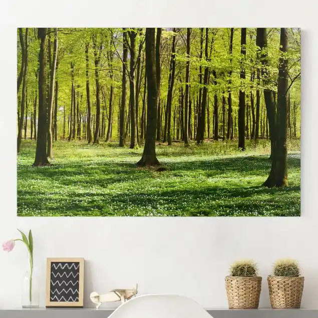 Waldwiese Leinwandbild • hergestellt in Deutschland • langlebiges Canvas mit Holzkeilrahmen • klassische Struktur • 260 g/m² Kostenloser Versand