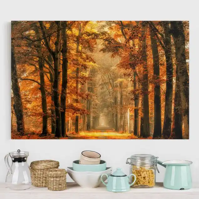 Märchenwald im Herbst Leinwandbild • hergestellt in Deutschland • langlebiges Canvas mit Holzkeilrahmen • klassische Struktur • 260 g/m² Kostenfreie Lieferung