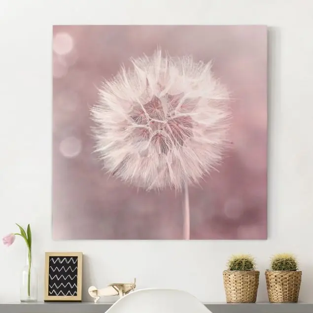 Jetzt Kaufen Pusteblume Bokeh rosa Leinwandbild • hergestellt in Deutschland • langlebiges Canvas mit Holzkeilrahmen • klassische Struktur • 260 g/m²