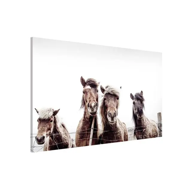 Island Pferde Magnettafel Bestseller