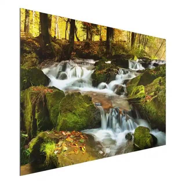 Neuheit Wasserfall herbstlicher Wald Alu-Dibond Outdoor Bild
