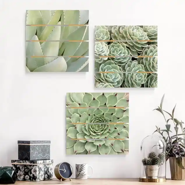 Neu Im Sortiment Agave und Sukkulenten Trio 3-teiliges Holzbild Plankenoptik - Quadrat