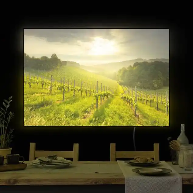 Sonnenstrahlen Weinberg LED-Wechselbild Ausverkauf