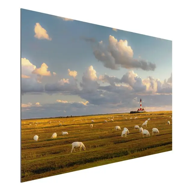 Nordsee Leuchtturm mit Schafsherde Alu-Dibond Outdoor Bild Wochenendangebot