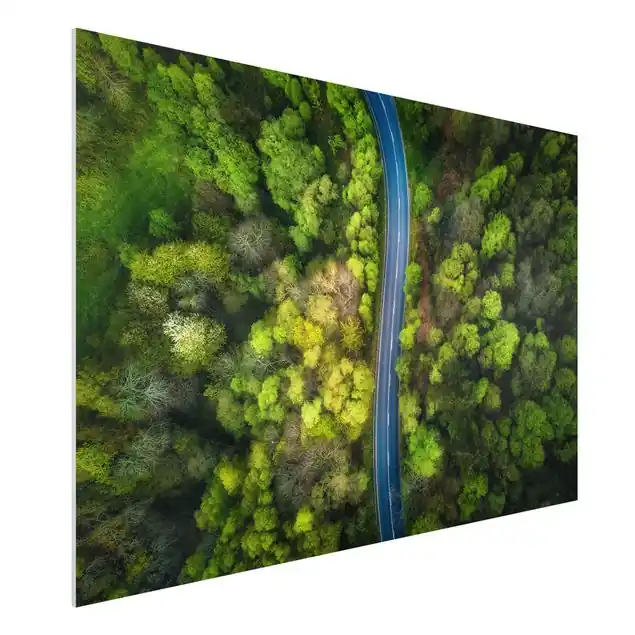 Luftbild - Asphaltstraße im Wald Forexbild - Querformat Angebot