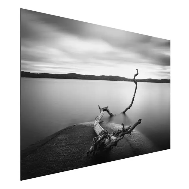 Neue Kollektion Sonnenuntergang am See schwarz-weiß Alu-Dibond Outdoor Bild