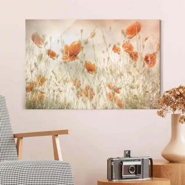 Sonderaktion Mohnblumen und Gräser im Feld Glasbild