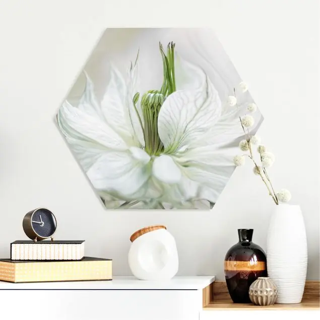 Weiße Nigella Hexagon-Forexbild Schnäppchen