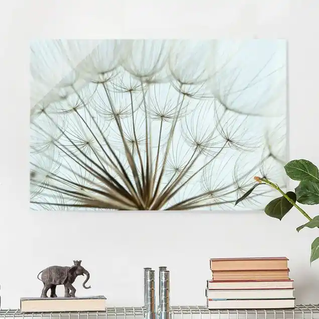 Günstig Schöne Pusteblume Makroaufnahme Glasbild - Querformat