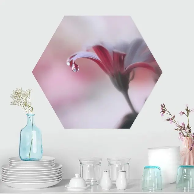 Preis Gesenkt Invisible Touch Hexagon-Alu-Dibond Bild