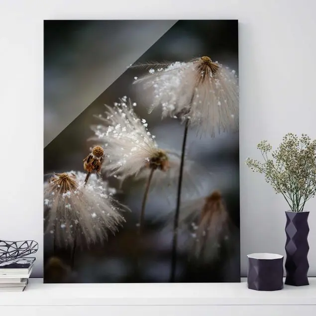 Pusteblumen mit Schneeflocken Glasbild - Hochformat Saisonangebot