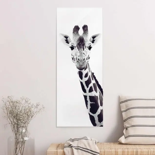 Giraffen Portrait in Schwarz-weiß Glasbild Kracherpreis