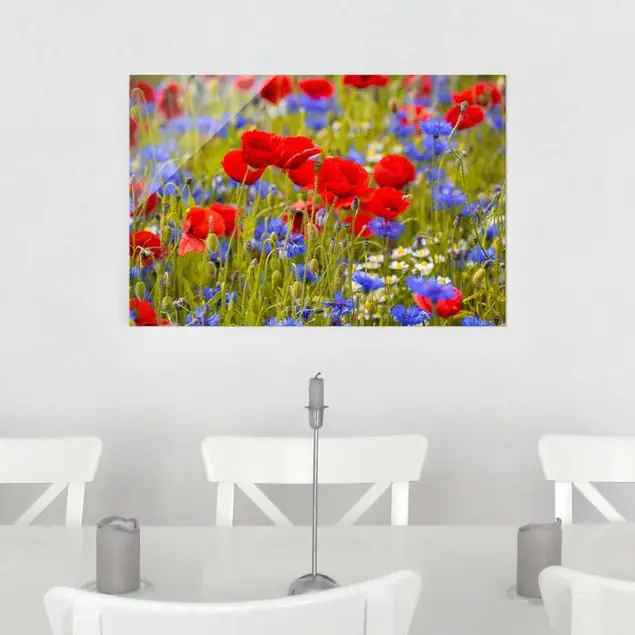 Sommerwiese mit Mohn und Kornblumen Glasbild - Querformat Heißes Angebot