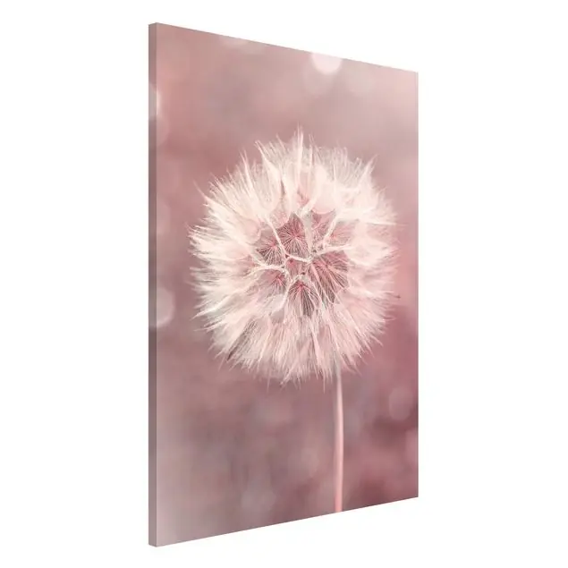 Pusteblume Bokeh rosa Magnettafel Billig
