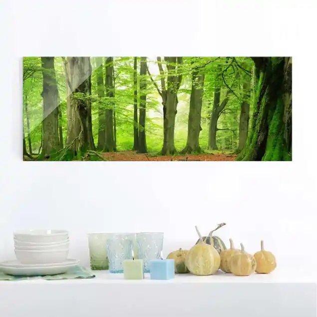 Mighty Beech Trees Glasbild - Panorama Sofort Bestellen