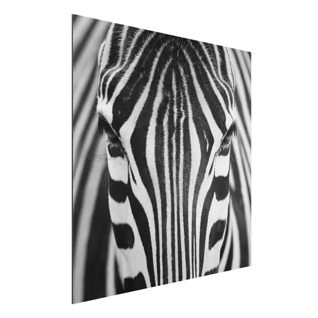 Zebra Look Alu-Dibond Outdoor Bild Neue Ware
