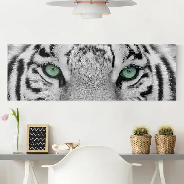 Weißer Tiger Leinwandbild • hergestellt in Deutschland • langlebiges Canvas mit Holzkeilrahmen • klassische Struktur • 260 g/m² Ausverkauf