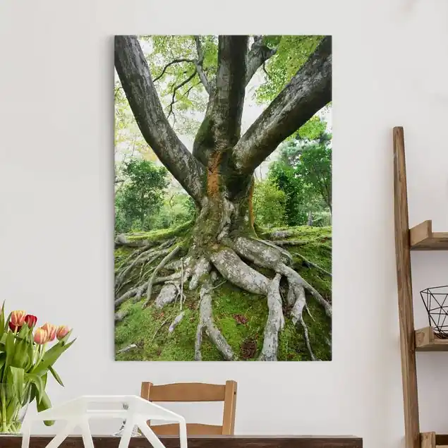 Heißes Angebot Alter Baum Leinwandbild • hergestellt in Deutschland • langlebiges Canvas mit Holzkeilrahmen • klassische Struktur • 260 g/m²