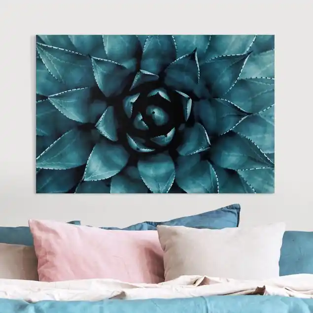 Nur Für Kurze Zeit Sukkulente Petrol II Leinwandbild • hergestellt in Deutschland • langlebiges Canvas mit Holzkeilrahmen • klassische Struktur • 260 g/m²