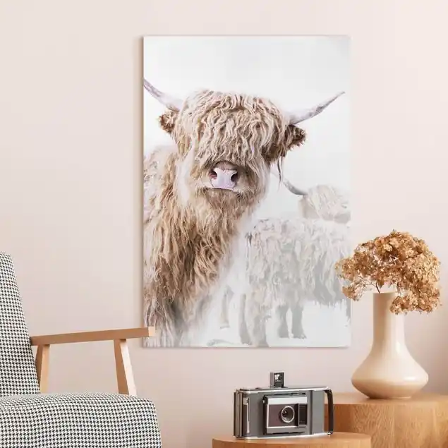 Hochlandrind Karlo Leinwandbild • hergestellt in Deutschland • langlebiges Canvas mit Holzkeilrahmen • klassische Struktur • 260 g/m² Top-Angebot