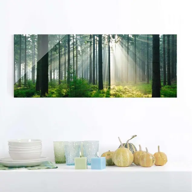 Enlightened Forest Glasbild - Panorama Neuheit