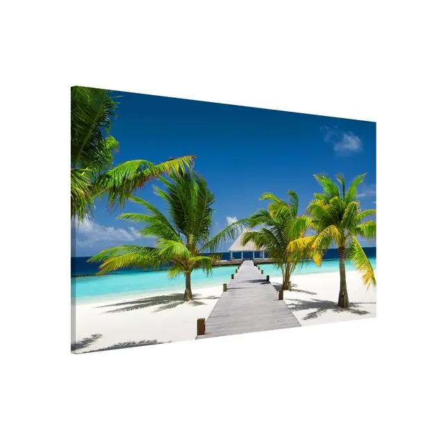 Schneller Versand Catwalk to Paradise Magnettafel - Querformat 3:2