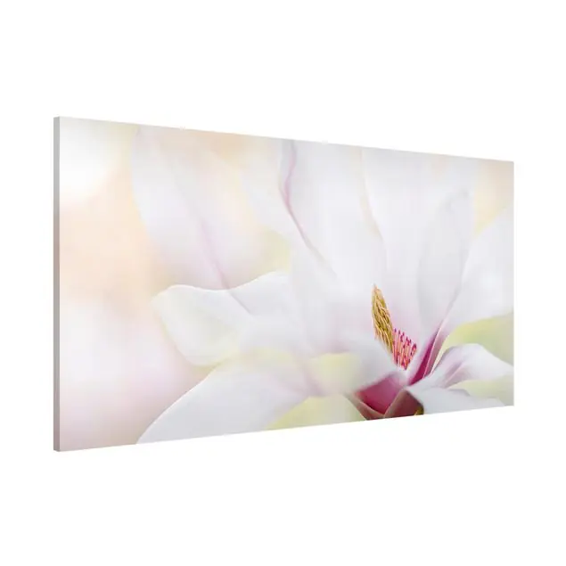 Schnäppchen Zarte Magnolienblüte Magnettafel - Querformat 2:1