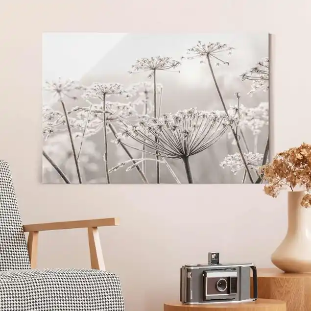 Doldenblüten im Frost Glasbild Sale