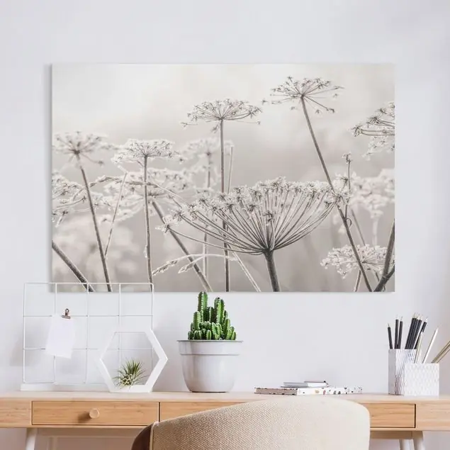 Preisknaller Doldenblüten im Frost Leinwandbild • hergestellt in Deutschland • langlebiges Canvas mit Holzkeilrahmen • klassische Struktur • 260 g/m²