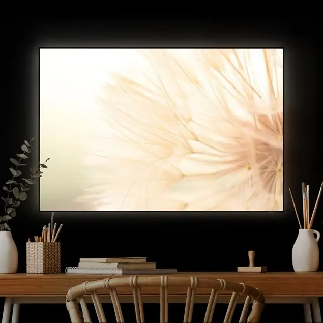 Weiche Pusteblume LED-Wechselbild Markenprodukt
