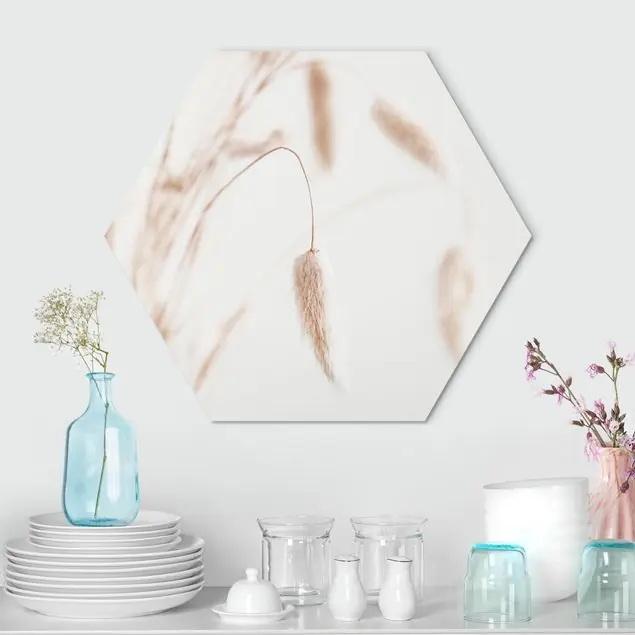 Zartes Glanzgras Hexagon-Alu-Dibond Bild Heißes Angebot
