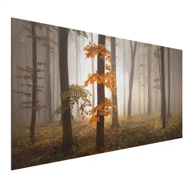 Novemberwald Alu-Dibond Outdoor Bild Echt