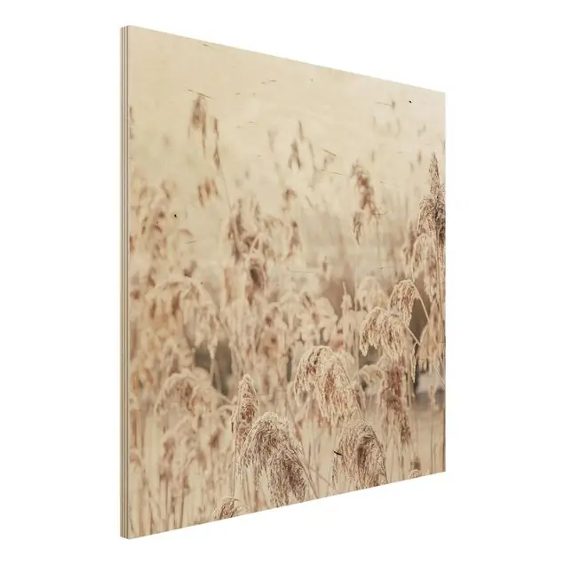 Markenware Meer von sonnigem Schilfgras Holzbild