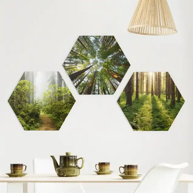 Wald Trio 3-teiliges Hexagon-Forexbild Finale Aktion