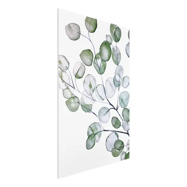 Bestpreis Grünes Aquarell Eukalyptuszweig Forexbild
