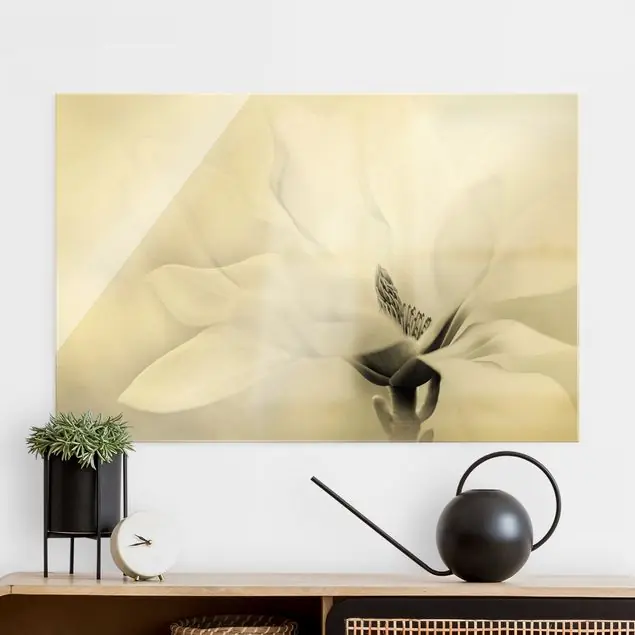 Preisreduziert Zarte Magnolienblüte Schwarz-Weiß Glasbild