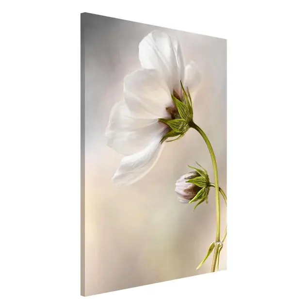 Himmlischer Blütentraum Magnettafel - Hochformat 2:3 Mega-Angebot