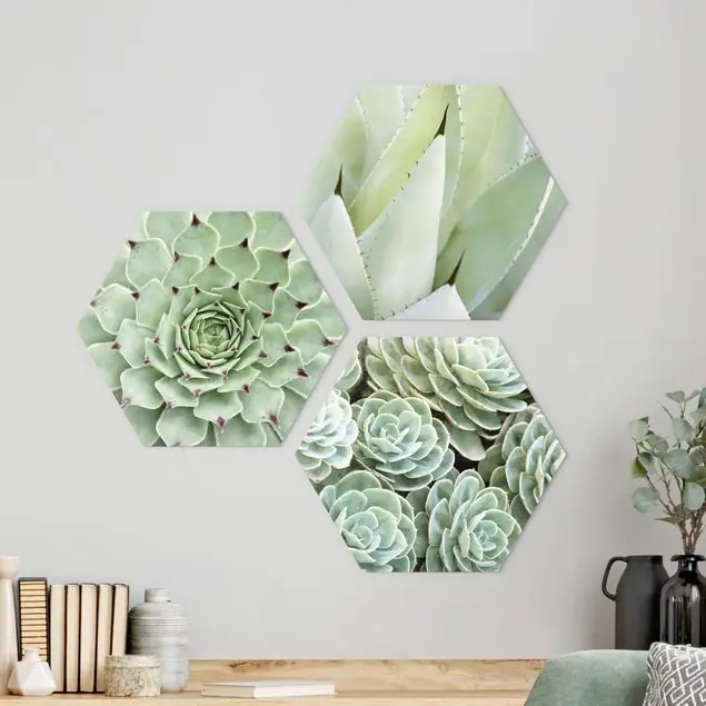 Online Kaufen Agave und Sukkulenten Trio 3-teiliges Hexagon-Alu-Dibond Bild