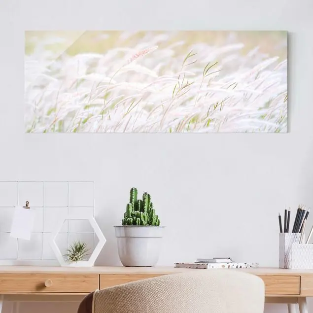 Weiche Gräser Glasbild Top-Seller