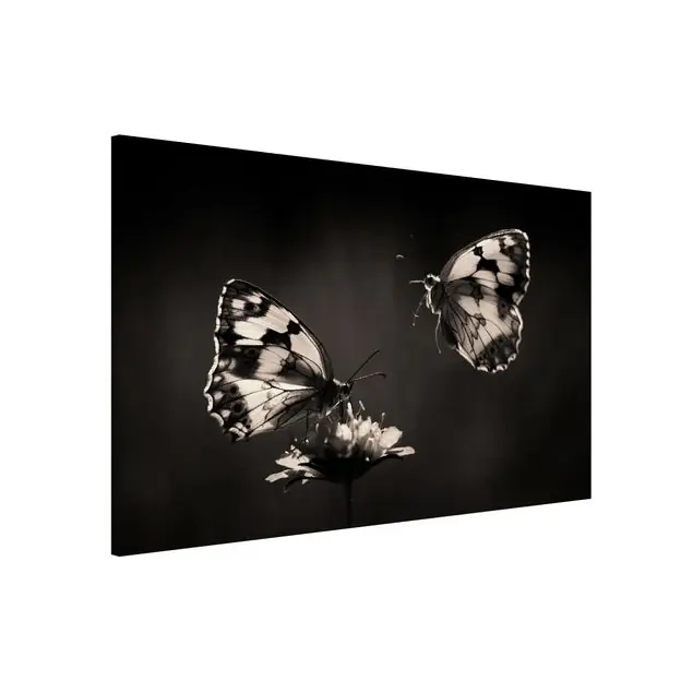 Mega-Angebot Medioluto Norte Magnettafel - Querformat 3:2
