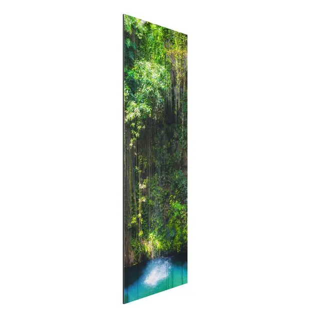 Schneller Versand Hängende Wurzeln von Ik-Kil Cenote Alu-Dibond Outdoor Bild