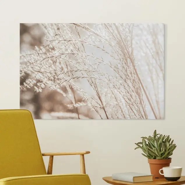 Begrenztes Angebot Pampasgras Close Up Leinwandbild • hergestellt in Deutschland • langlebiges Canvas mit Holzkeilrahmen • klassische Struktur • 260 g/m²